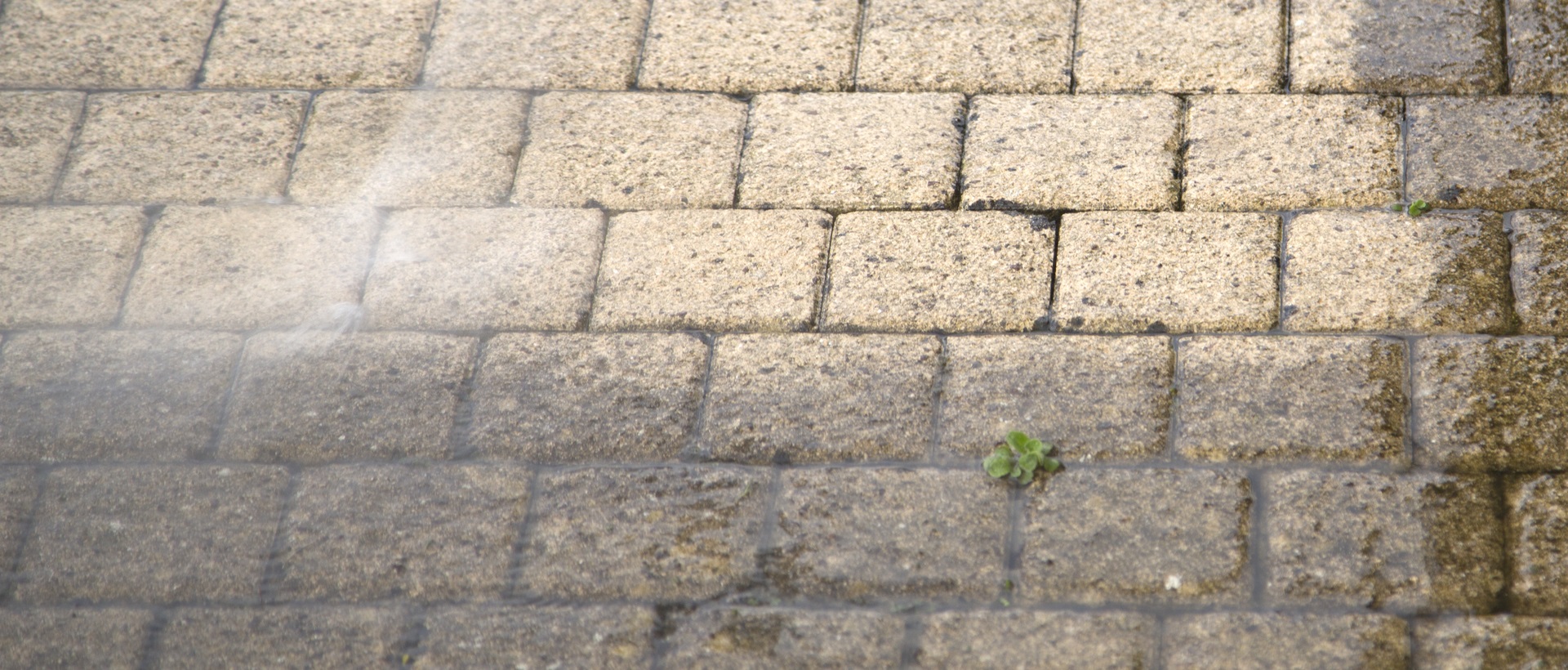 flagging and patios IG4