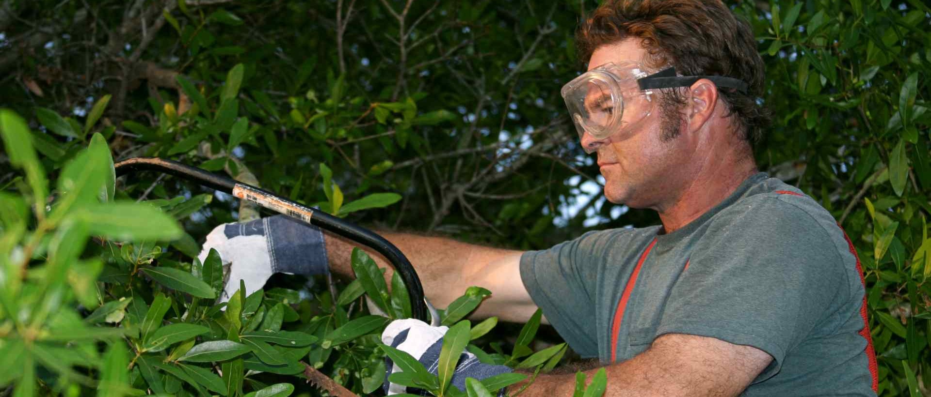 garden clearance IG4